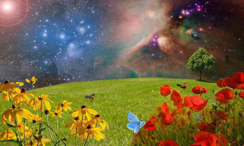 Emergence of Sustainable Tourism